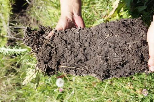 土壤养分分析仪 土壤养分分析仪