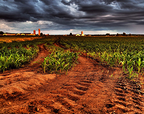 土壤养分分析仪 土壤养分分析仪